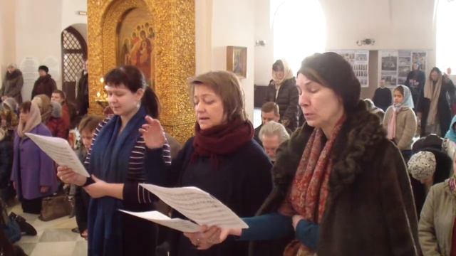 HDV 0003 смотреть онлайн