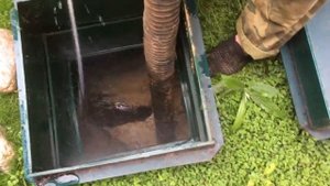 Откачка 1-й камеры септика Лидер от нерастворимого осадка