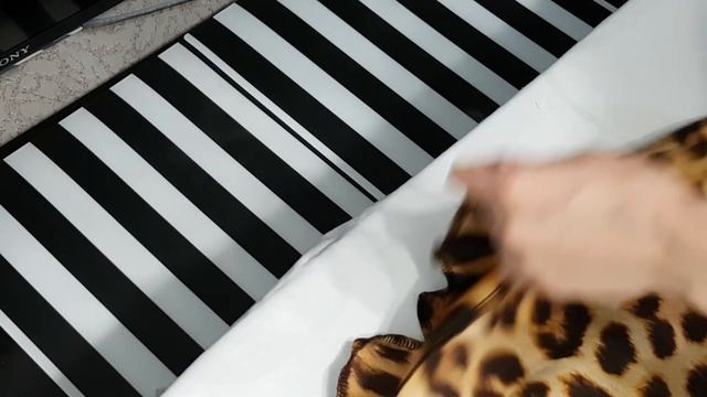Как сшить шелковое леопардовое платье в бельевом стиле  DIY