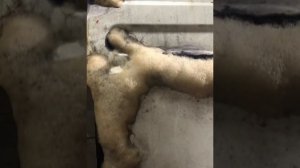 Ремонт проблемных мест дверей Мерседес спринтер!!!! Часть 1