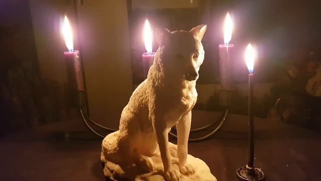 ВЫЖИТЬ ЛЮБОЙ ЦЕНОЙ ВНУТРЕННИЙ ЗВЕРЬ ДЛЯ СМЕЛЫХ ВЕДЬМИНА ИЗБА АВТОР ИНГА ХОСРОЕВА смотреть онлайн