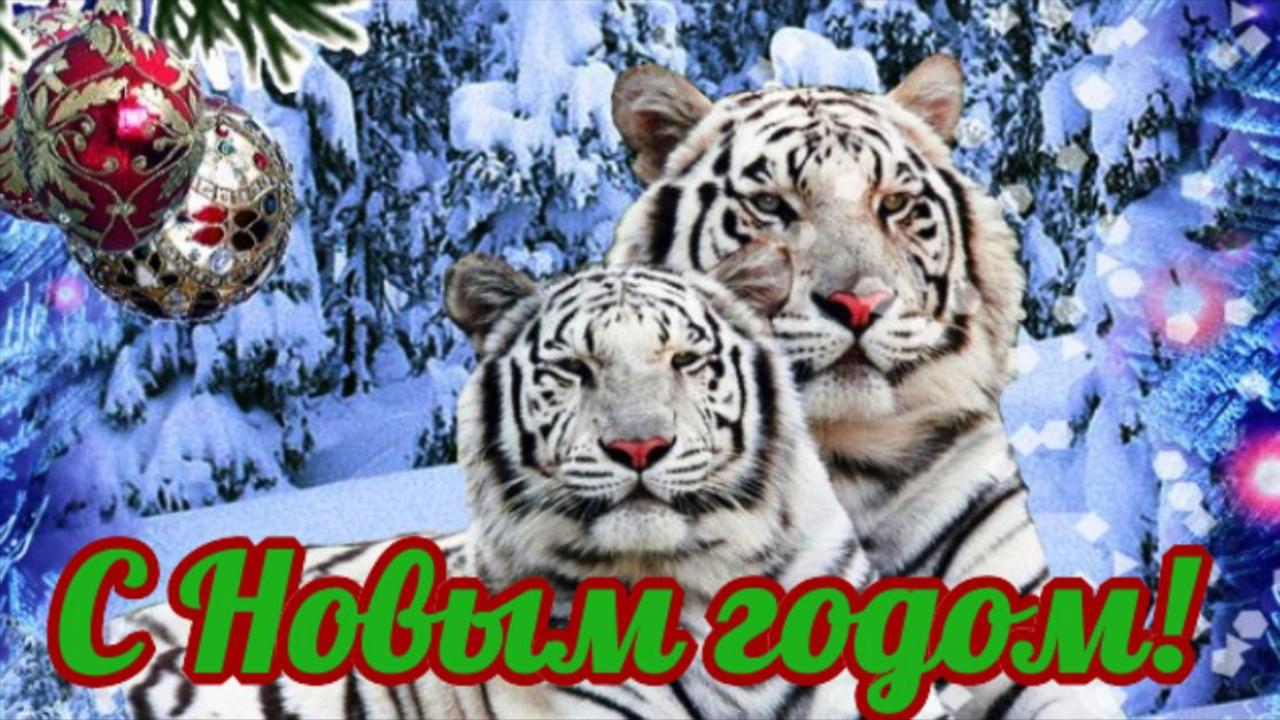 Картинки Новогоднего Тигра В Хорошем Качестве