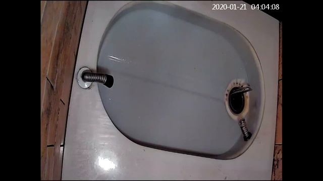 Автоматический кошачий туалет. Ксюша. смотреть онлайн