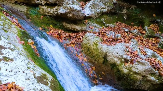 Лесной ручей. Источник, Звук ручья, Шум ручья, Звуки природы. Шум воды. Горный ручей - 4K Relax