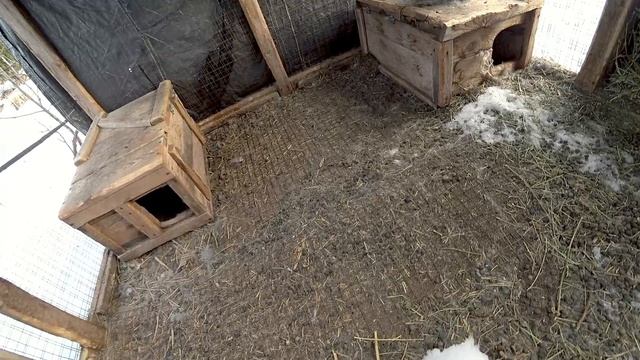 ? Санек опять выручает. Баня, и неужели рулет это так легко?