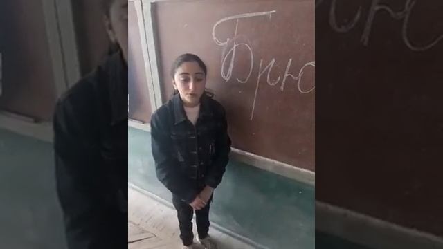 В. Брюсов "К Армении". Читает Айрапетян Рита
