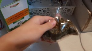 Копошилка для попугаев