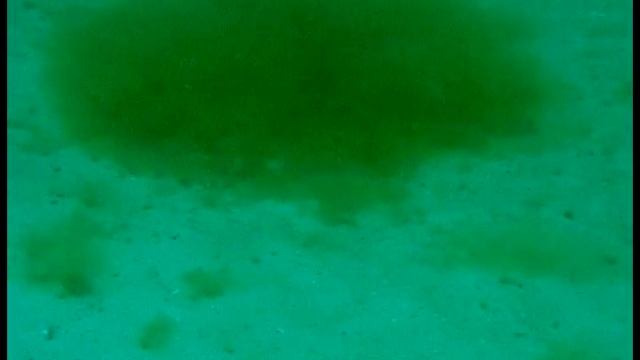 Ямы от выборки песка на глубине 11 м. у мыса Виноградный смотреть онлайн