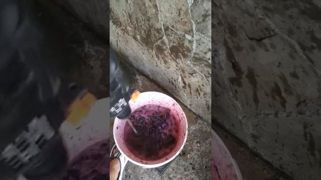 Быстрый отжим винограда смотреть онлайн