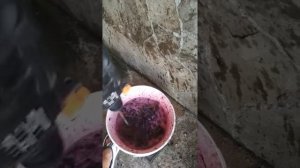 Быстрый отжим винограда