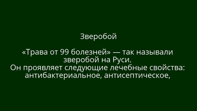 ❀ Аптекарский огород: 10 самых полезных лекарственных растений для дачи