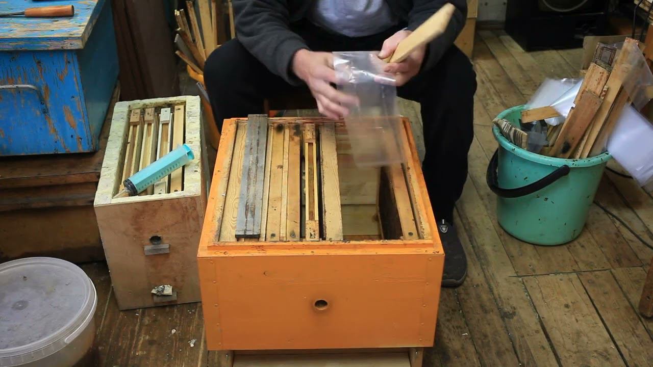 Весенняя подкормка(стимуляция) смотреть онлайн