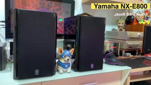 YAMAHA NX-E800 Speaker