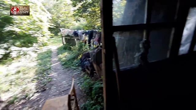 ТОПОР - СИЛА РУССКОГО МУЖИКА! В ГОСТЯХ У АЛЕКСЕЯ ЕФИМОВИЧА! смотреть онлайн