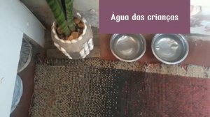 VLOG: ROTINA DE CASA COM QUINTAL, CACHORROS E PLANTAS (MORANDO SOZINHA COM ELES)