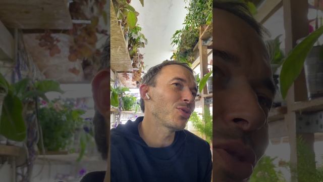 Основные элементы в составе удобрений смотреть онлайн