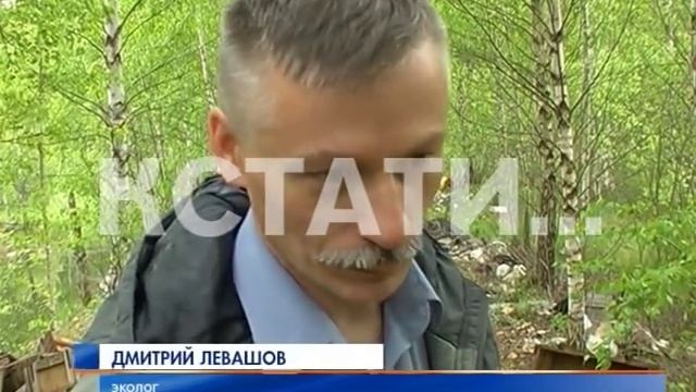Огромная свалка противогазов обнаружена в лесу под Дзержинском