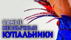 САМЫЕ НЕОБЫЧНЫЕ И ИНТЕРЕСНЫЕ КУПАЛЬНИКИ 2019 ХУДОЖЕСТВЕННАЯ ГИМНАСТИКА