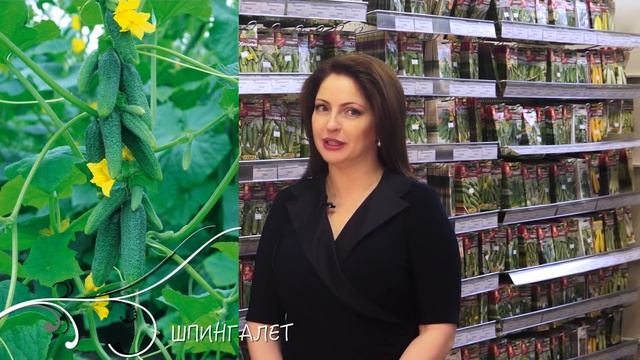 ?Лучшие огурцы пучкового типа плодоношения. ? смотреть онлайн