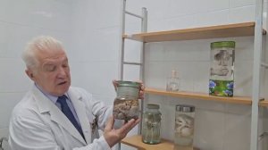 Специальность "Акушерское дело"