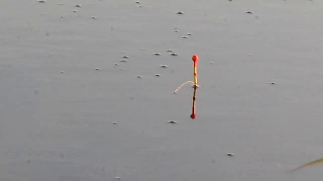 Рыбалка на поплавочную удочку на реке в проводку (поплавок завораживает) сентябрь 2021 ловля карася смотреть онлайн