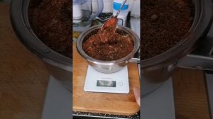 ПП-оладьи из печени говядины.