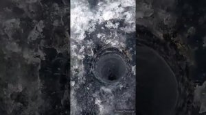 белый июс Хакасия рыбалка на жерлицы .