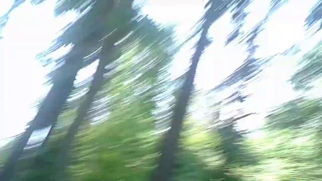 Газелька застряла смотреть онлайн