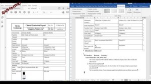 Подготовка ПДФ документа к переводу