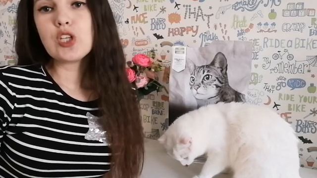 корм Pro Plan для кастрированных котов с чувствительным пищеварением смотреть онлайн