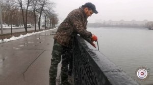 ГРАНАТА В ЦЕНТРЕ МОСКВЫ / МАГНИТНЫЙ ПОИСК/ МАГНИТНАЯ РЫБАЛКА