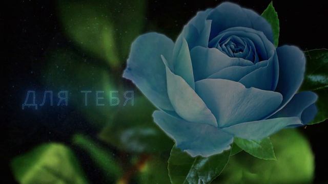 ?Эта роза для тебя?Музыкальная анимационная открытка