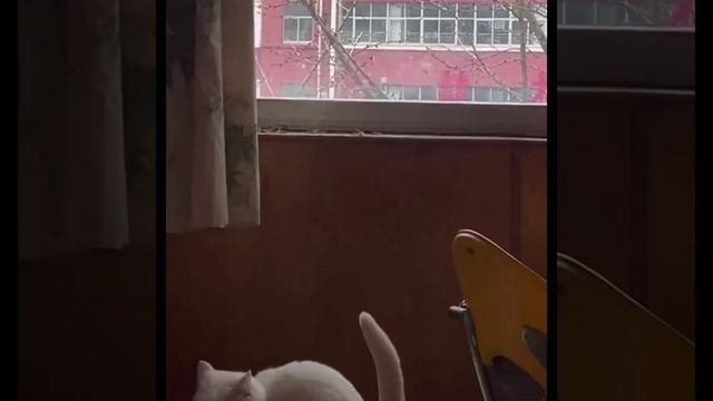 УТИЛИЗАТОР