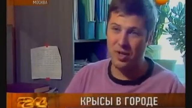 Как_бороться_дома_с_крысами?