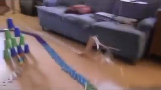 1000 палочек для мороженого и принцип домино смотреть онлайн