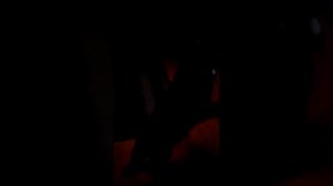 Как приучить кота стоять на задних лапках