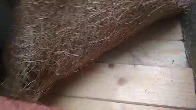 Моя колода для пчел. смотреть онлайн