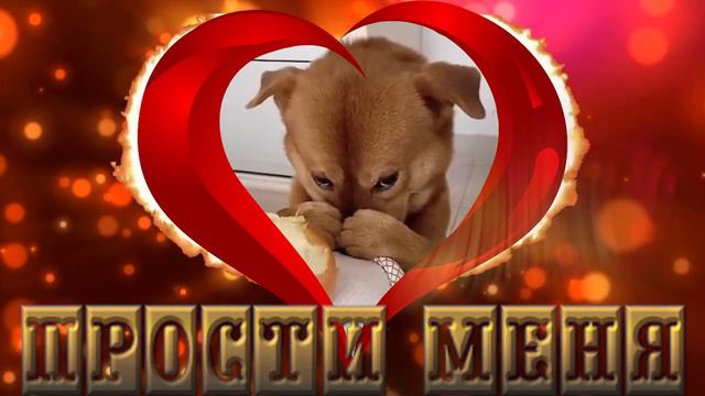 Пожалуйста прости меня смотреть онлайн