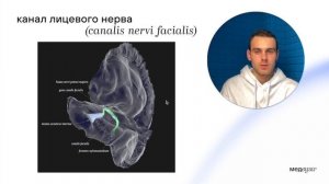 Каналы височной кости | Нормальная анатомия | Медвуза