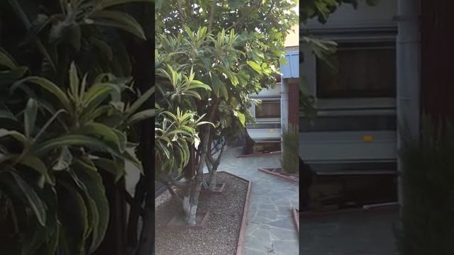 Гостевой дом ДонБас Солнечногорское Крым. Общий обзор здания и двора.