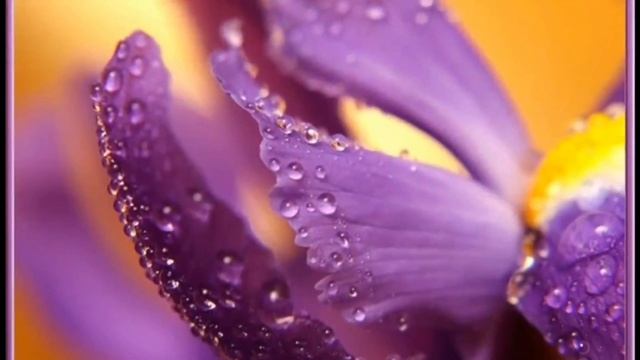 Я слушаю дождь - Инна Соколова.mp4 смотреть онлайн