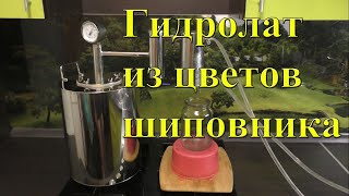 Гидролат (паровая вытяжка) из цветов шиповника