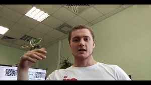 ОБЗОР НА НАУШНИКИ SENNHEISER MX 375