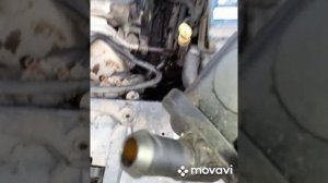 Фокус 1,потек термостат.