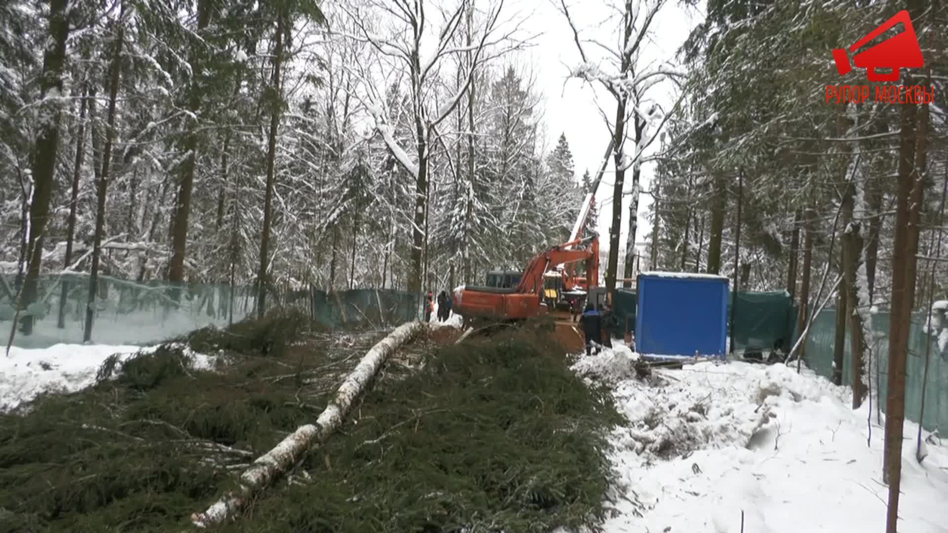Борьба защитников Троицкого леса с лесорубами в Новой Москве / LIVE 01.02.22
