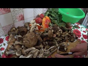 Подберёзовики, свинухи, сыроежки переработал, ассорти получилось.