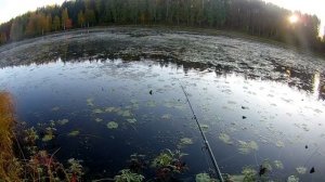 Красивый выстрел или как я кряка просрал. Охота с  CZ Canvasback