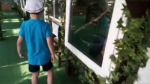 Ольгинка. Туапсинский район. Крокодилов ферма, впечатления, отдых