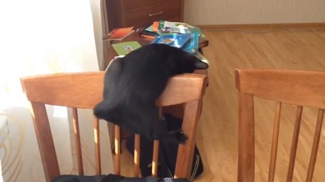 Котик в детстве смотреть онлайн