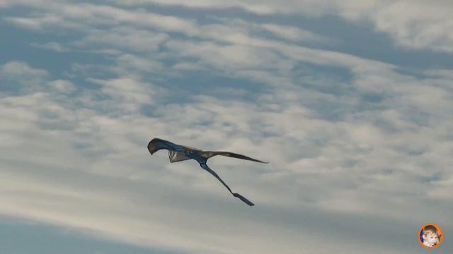 ✅Запускаем воздушного ЗМЕЯ! Неожиданная встреча с парапланом и воздушным шаром! смотреть онлайн